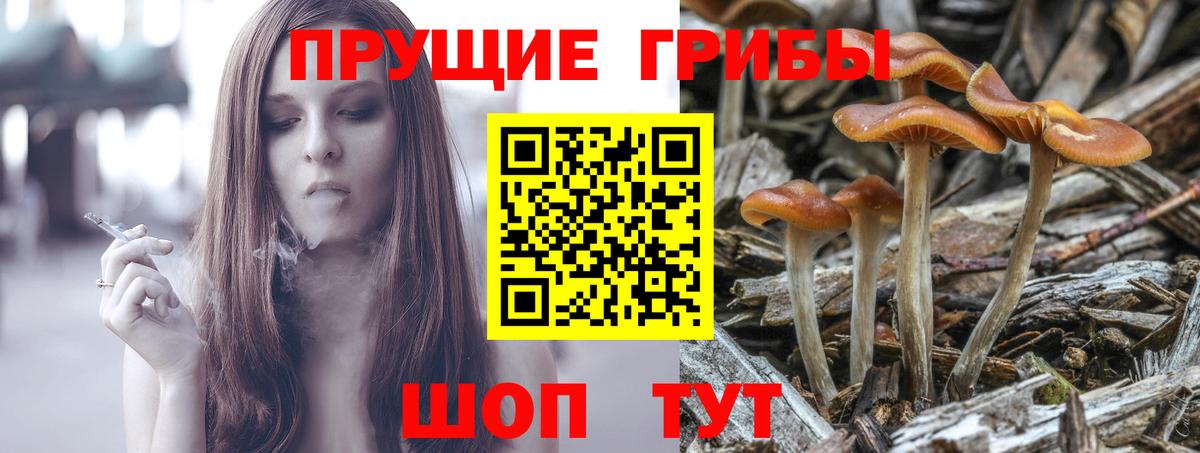 Симферополь  Галлюциногенные грибы мицелий  Вход с VPN  Галлюциногенные грибы прущие грибы 