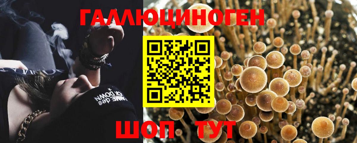 Галлюциногенные грибы мицелий Симферополь